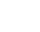 鸽圈动态